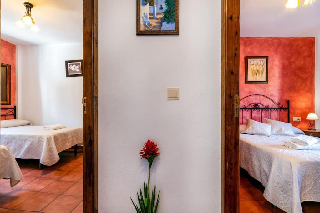 Casa Jose Capileira - Alpujarraアパートメント エクステリア 写真